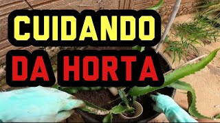 Cuidando da horta e das frutíferas