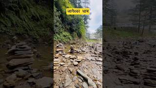 Jai Bholenath 🙏🏻 | #shorts #jageshwar #jyotirling #bholenath #mahakal #nainital #shivshankar #yt