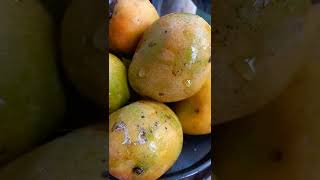 #full video link in description  #srilankan #yummy #variety of #fruit #guava 🍐🍏🫒