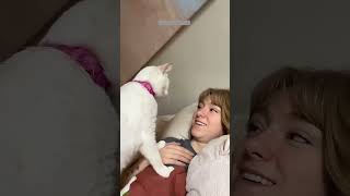 🐕 Funny Cats 2024😂 Cute Cats Videos 🐱 🐕 😄 Part 493