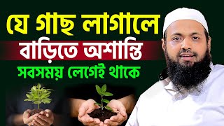 যে গাছ বাড়িতে কখনোই লাগাবেন না বাড়িতে অশান্তি হবে। mufti arif bin habib new waz=15/9/24 #waz #ep116