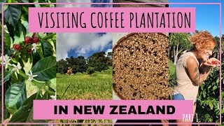 26. IS THAT EVEN POSSIBLE TO GROW COFFEE IN NZ? - INTERVIEW WITH ROB SCHLUTER