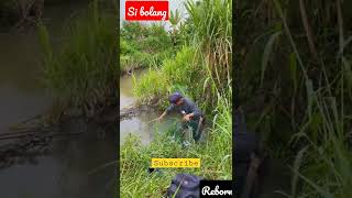 Hari ini lihat perangkap ikan yg di pasang kemaren hasilnya gila #17 #shorts  #kookiko