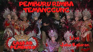 Pemburu Rimba Live Joho