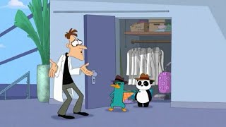 Perry Catches Doofenshmirtz Cheating With Peter The Panda (1/3)