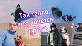 ВЛОГ Хокей тюбингом. Новое кафе"Сдобушка". Подстригла Боню. Разговор с Димой.