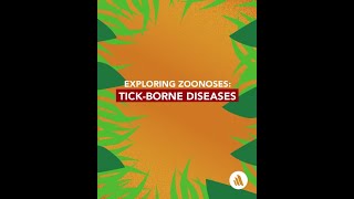 Exploring Zoonosis: Tick-Borne Diseases | Merck Manuals