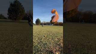 Fall Flying From Front Yard!#paramotor #dreambig  #dosomethingawesome