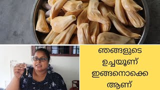 പരാതി ഒന്നുമില്ലാതെ ഉള്ളതുകൊണ്ട്  സംതൃപ്തിയോടെ ജീവിക്കാം #HelpMeLord