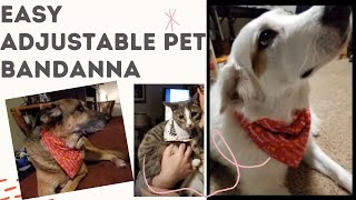 Sew a Fast & Easy Adjustable Pet Bandana