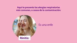 ¿Cuáles son las alergias respiratorias más comunes?