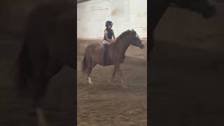 Cantering bareback #horse