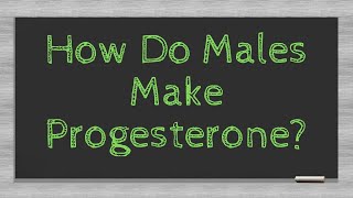 How Do Males Make Progesterone?