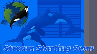 Blue Earth : La Palma Show Pool Live Cam -Zoo tycoon 2-