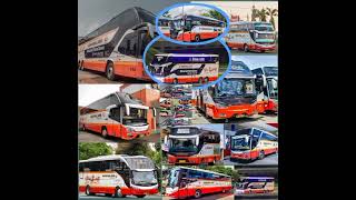 🔴Story' wa bus harjay 30 detik