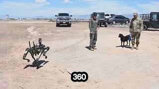 China Revealed An Army Of Robot Dogs Used In The Military | Tu Viet Tri Shorts