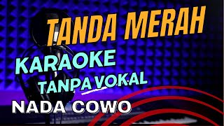 tanda merah lagu dangdut karaoke koplo nada cowo tanpa vocal lirik