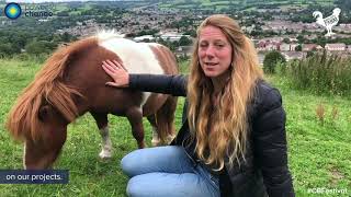 Community Business Festival | Bath City Farm