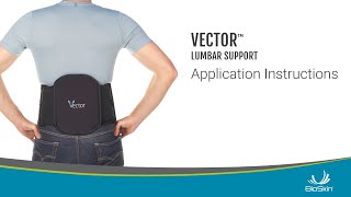 Vector Lumbar Support Application Instructions