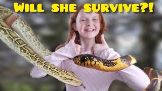 Little girl wrestles giant python and venomous snake!