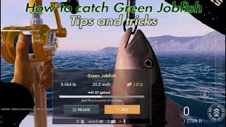 Fishing planet - Echo sounder Deep sea precision Kaiji No Ri - Green Jobfish