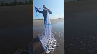 Millones De Lisetas De Un Solo Tiro ##Viral #videos #reelsfyp #virals #sigueme #pesca #viral #videos