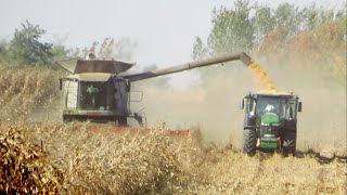 Autumn Corn Harvest/kukorica aratás  2019 2x Claas Lexion 600 Terra Trac  *2/2. Part*