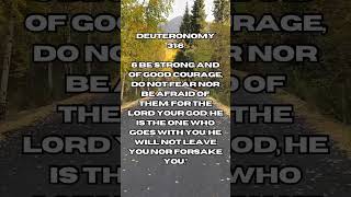 Deuteronomy 31:6 🙏📖     #jesus #faith #bibleverse