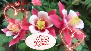 عيد  فطر سعيد2022 ❤ تهنئة عيد الفطر 💐كل عام وانتم بخير