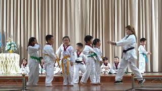 KG3 20190220 - Taekwondo Show