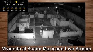 Viviendo el Sueño Mexicano Live Stream - Domingo 29 de Octubre del 2023