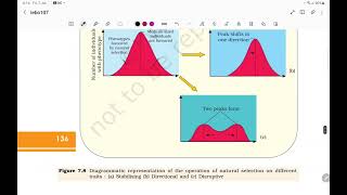 MECHANISM OF EVOLUTION & HARDY-WEINBERG PRINCIPLE