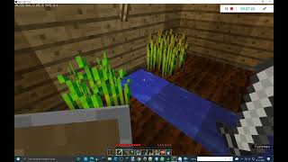 minecraft letsplay 1