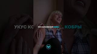 💠 Удивительные факты о кобрах..