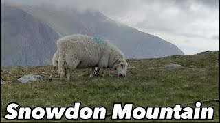 A Visit To The Summit of The HIGHEST MOUNTAIN In Wales (Snowdon Mountain North Wales 🏴󠁧󠁢󠁷󠁬󠁳󠁿)