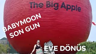 Babymoon Son Günümüz-Mini Vlog-  Big Apple  Gezimiz Eve  Donuş Yolculuğu (Zeytin Luna'ya Anılar)