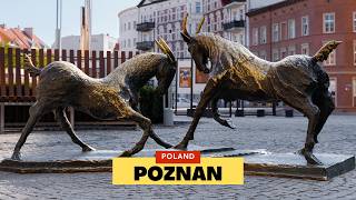 Exploring Poznan - Colorful Old Town, Fighting Goats & St. Martin's Croissants