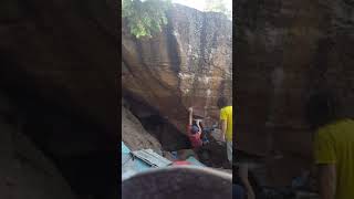 Flesh fest v9