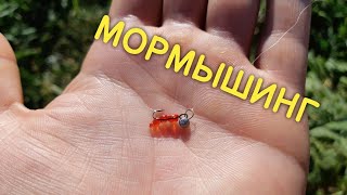 МОРМЫШИНГ! В ИЮНЕ 2021! #мормышинг #рыбалка #мормо #наноджиг