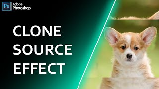 Clone Source Effect In Photoshop cc 2021 | Photoshop Tutorial | Clone Tool