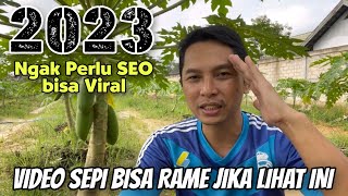 Tanpa SEO jenis video ini mudah sekali Viral dan Jangkauanya Luas