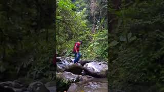 It's My Life #shorts #waterfall #nature #airterjun #curug