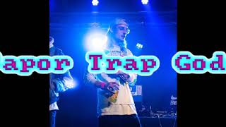 L!L GROOVY BiGG DRiPP ft  LIL XELLY (VAPORTRAPGODS)