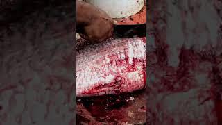 Amazing Giant Catla Carp Fish Cutting Skills In Bangladesh Fish Market By Expert Cutter