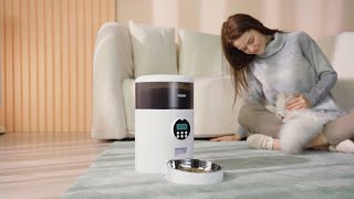 NICREW Automatic Pet Feeder