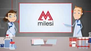 Milesi  WOOD ART   Efectos Especiales