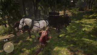 Red Dead Redemption 2 Dense Vegetation