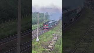 Дал дымка! #1. 2ТЭ116-686, Бекасово-сорт, 02.07.24. #train #бмо #ржд #рек #бтс #поезд