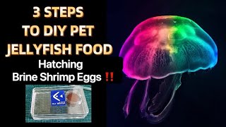 👍Best Tutorial DIY Pet Jellyfish Food‼️Hatching Brine Shrimp Eggs‼️Care,Tank Set Up,Aquarium Music