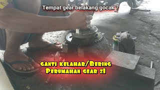 Ganti kelahar/Bering perumahan gear Z1